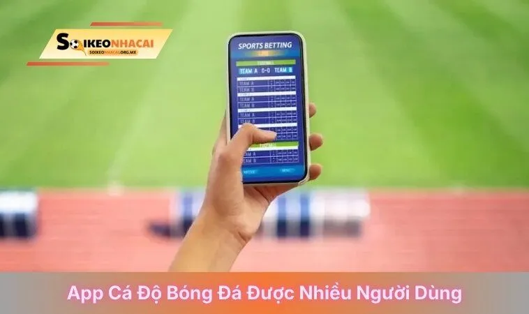 App cá độ bóng đá được nhiều người dùng