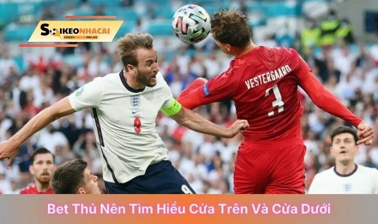 Bet thủ nên tìm hiểu cửa trên và cửa dưới