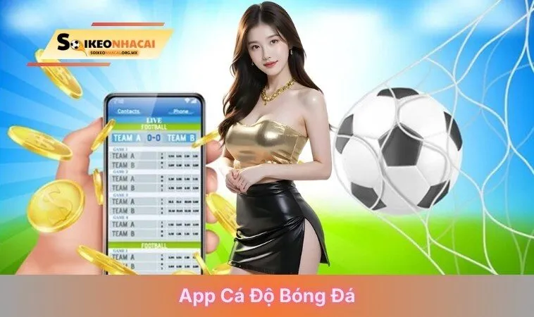 app cá độ bóng đá