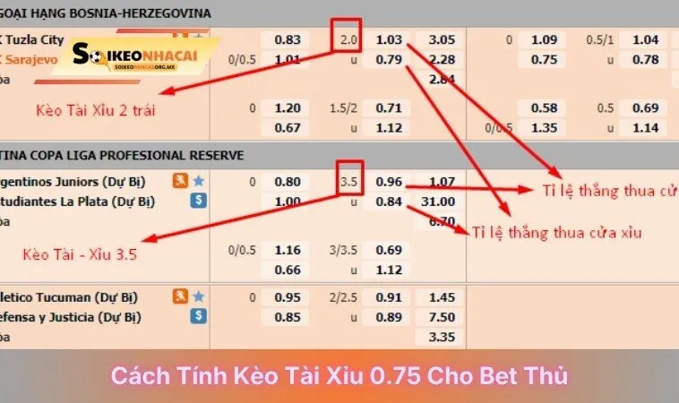 Cách tính kèo tài xỉu 0.75 cho bet thủ