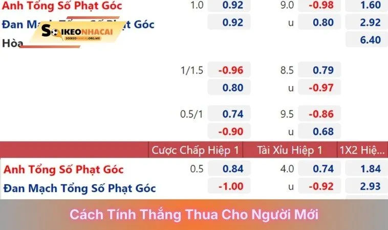 Cách tính thắng thua cho người mới