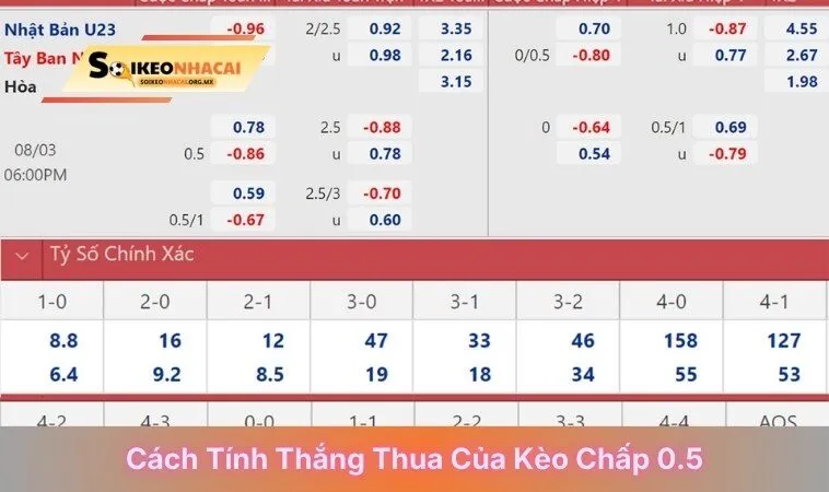 Cách tính thắng thua của kèo chấp 0.5