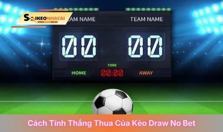 Cách tính thắng thua của kèo draw no bet
