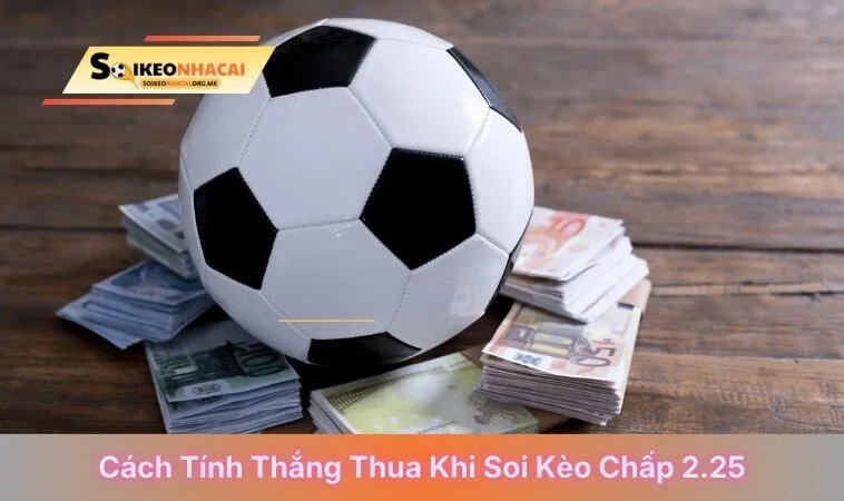 Cách tính thắng thua khi soi kèo chấp 2.25