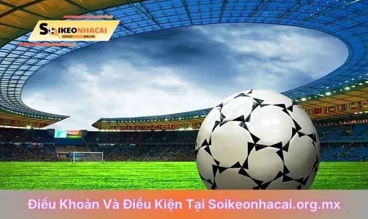 Điều khoản và điều kiện tại soikeonhacai.org.mx