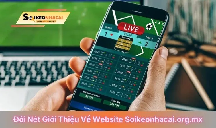 Đôi nét giới thiệu về website Soikeonhacai.org.mx
