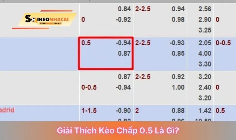 Giải thích kèo chấp 0.5 là gì?