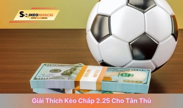 Giải thích kèo chấp 2.25 cho tân thủ