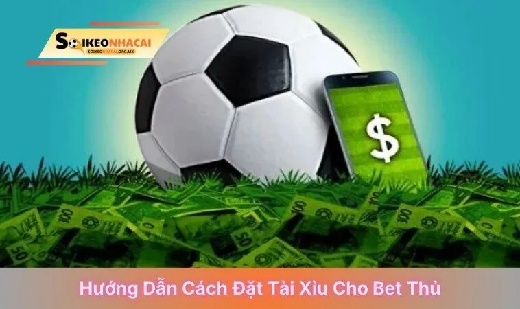 Hướng dẫn cách đặt tài xỉu cho bet thủ