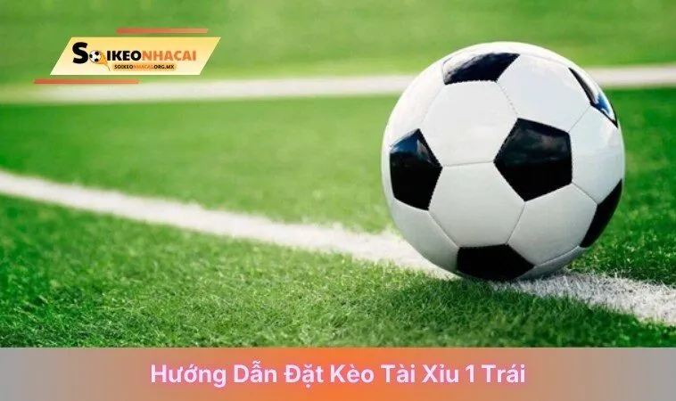 Hướng dẫn đặt kèo tài xỉu 1 trái