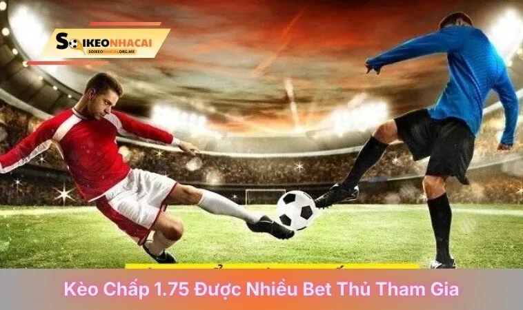 Kèo chấp 1.75 được nhiều người tham gia
