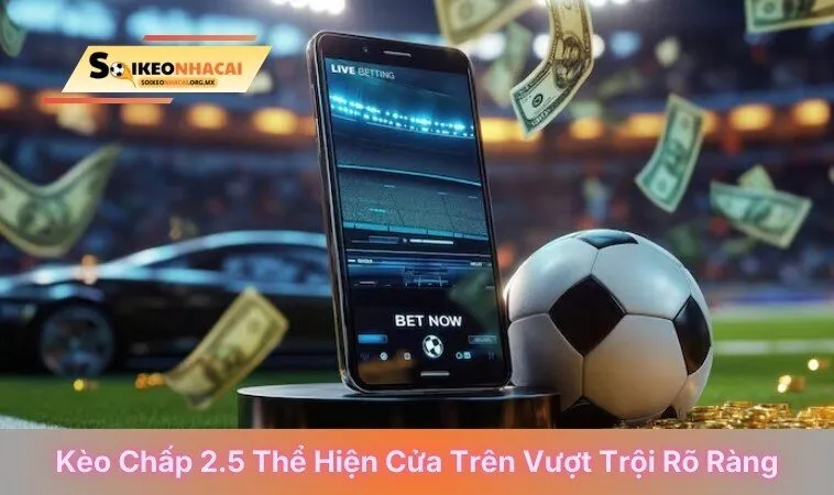 Kèo chấp 2.5 thể hiện cửa trên vượt trội rõ ràng