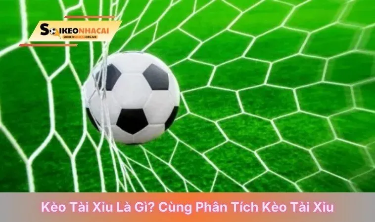 Kèo tài xỉu là gì? cùng phân tích kèo tài xỉu