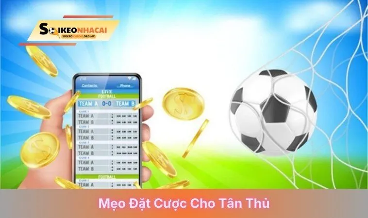 Mẹo đặt cược cho tân thủ