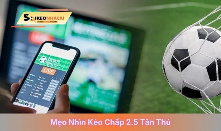 Mẹo nhìn kèo chấp 2.5 tân thủ