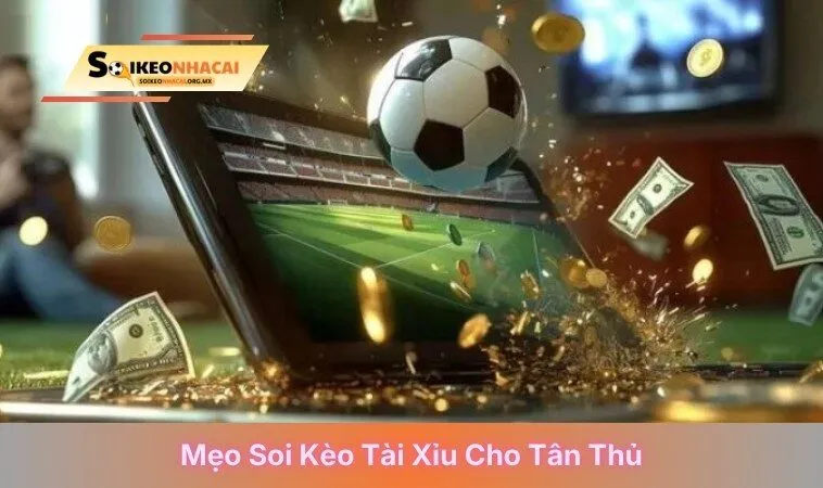 Mẹo soi kèo tài xỉu cho tân thủ