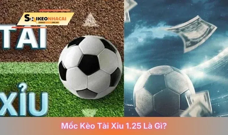 Mốc kèo tài xỉu 1.25 là gì?