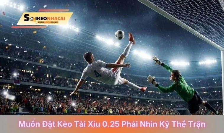 Muốn đặt kèo tài xỉu 0.25 phải nhìn kỹ thế trận