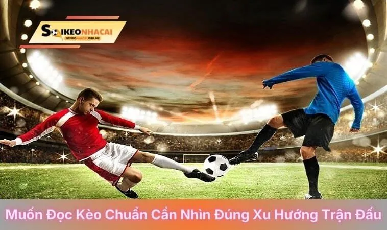 Muốn đọc kèo chuẩn cần nhìn đúng xu hướng trận đấu
