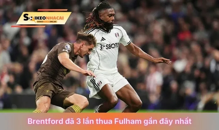Trận đấu giữa hai đội Brentford Vs Fulham