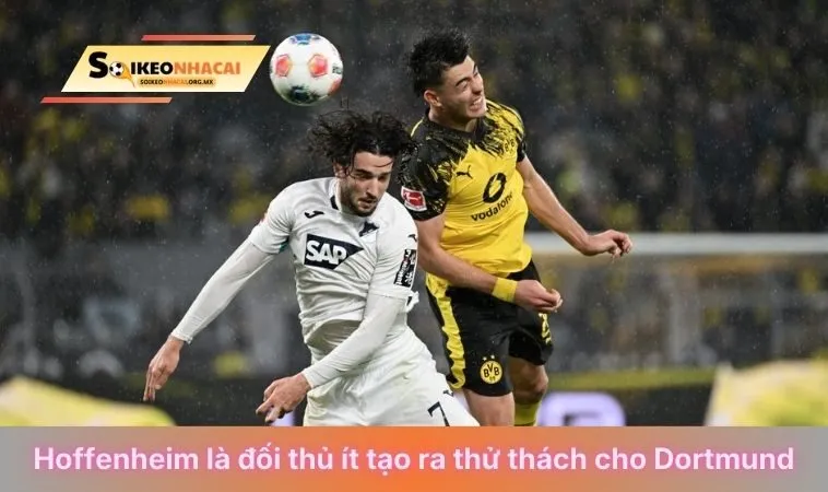 Nhận định soi kèo Hoffenheim Vs Dortmund