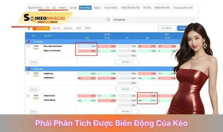 Phải phân tích được biến động của kèo