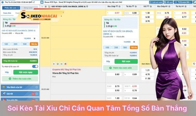 Soi kèo tài xỉu chỉ cần quan tâm tổng số bàn thắng