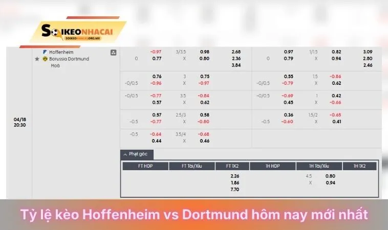 Tỷ lệ soi kèo Hoffenheim Vs Dortmund